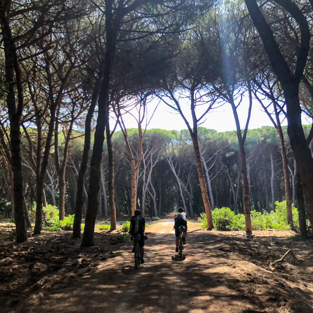 Tuscany Trail 2018